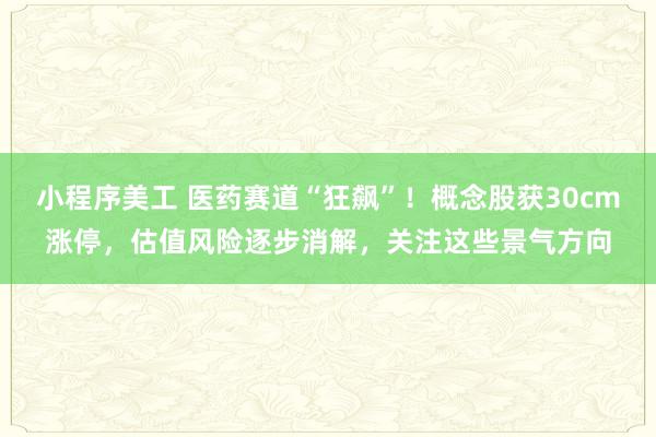 小程序美工 医药赛道“狂飙”！概念股获30cm涨停，估值风险逐步消解，关注这些景气方向