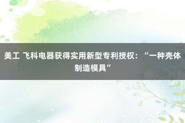 美工 飞科电器获得实用新型专利授权：“一种壳体制造模具”