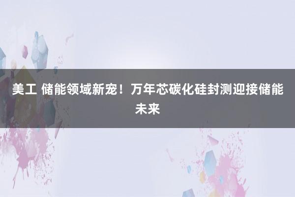 美工 储能领域新宠！万年芯碳化硅封测迎接储能未来