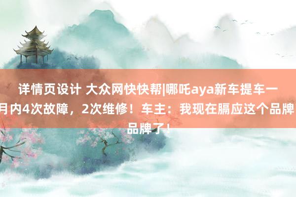 详情页设计 大众网快快帮|哪吒aya新车提车一个月内4次故障，2次维修！车主：我现在膈应这个品牌了！