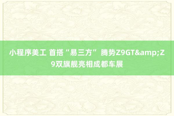 小程序美工 首搭“易三方” 腾势Z9GT&Z9双旗舰亮相成都车展