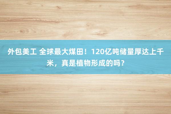 外包美工 全球最大煤田！120亿吨储量厚达上千米，真是植物形成的吗？