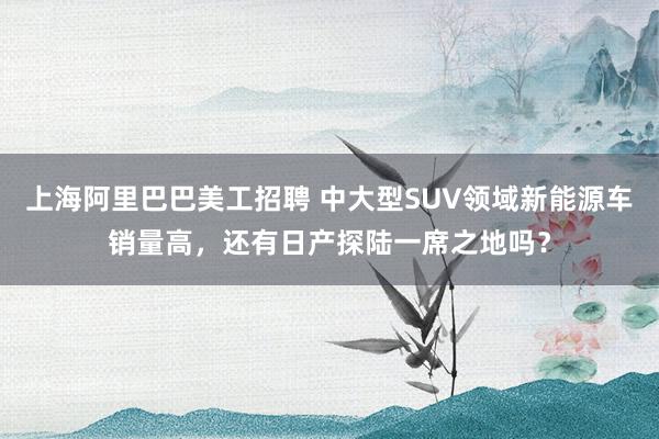 上海阿里巴巴美工招聘 中大型SUV领域新能源车销量高，还有日产探陆一席之地吗？